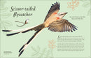 An Anthology of Exquisite Birds (DK Children's Anthologies)