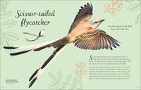 An Anthology of Exquisite Birds (DK Children's Anthologies)