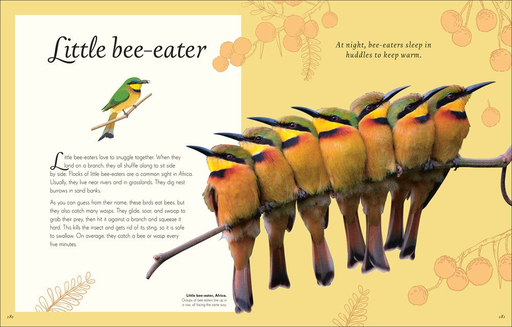 An Anthology of Exquisite Birds (DK Children's Anthologies)