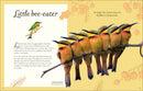 An Anthology of Exquisite Birds (DK Children's Anthologies)