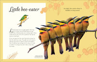An Anthology of Exquisite Birds (DK Children's Anthologies)