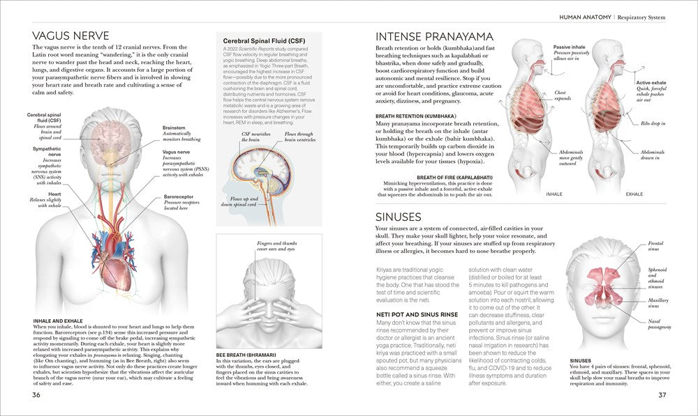 Science of Yoga: Understand the Anatomy and Physiology to Perfect Your Practice (The Science of Fitness)