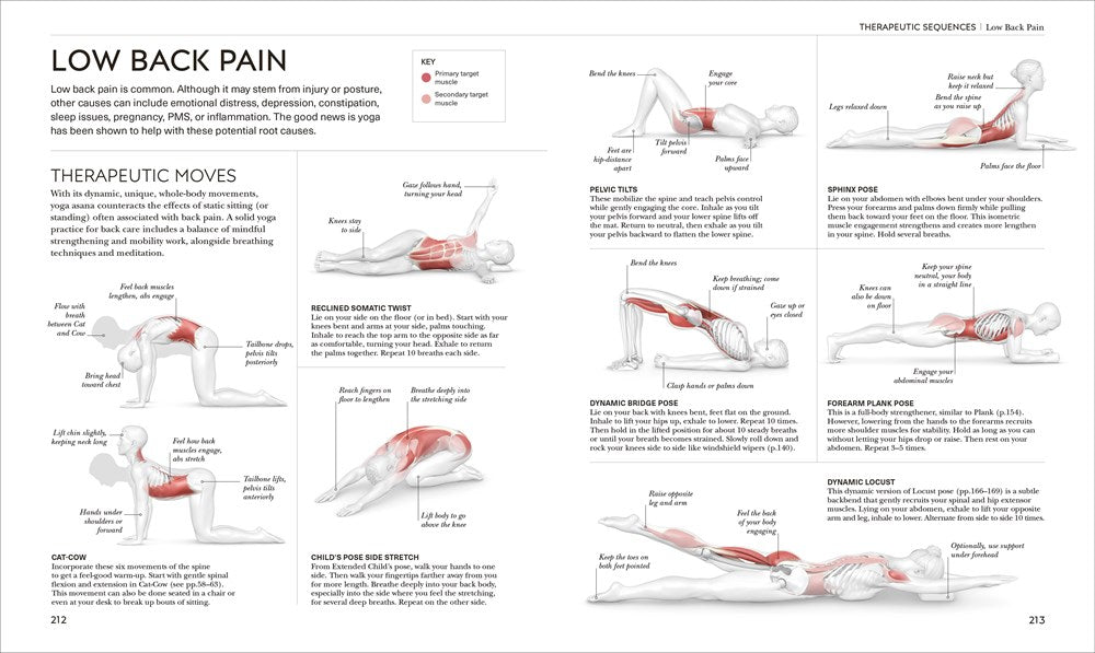 Science of Yoga: Understand the Anatomy and Physiology to Perfect Your Practice (The Science of Fitness)