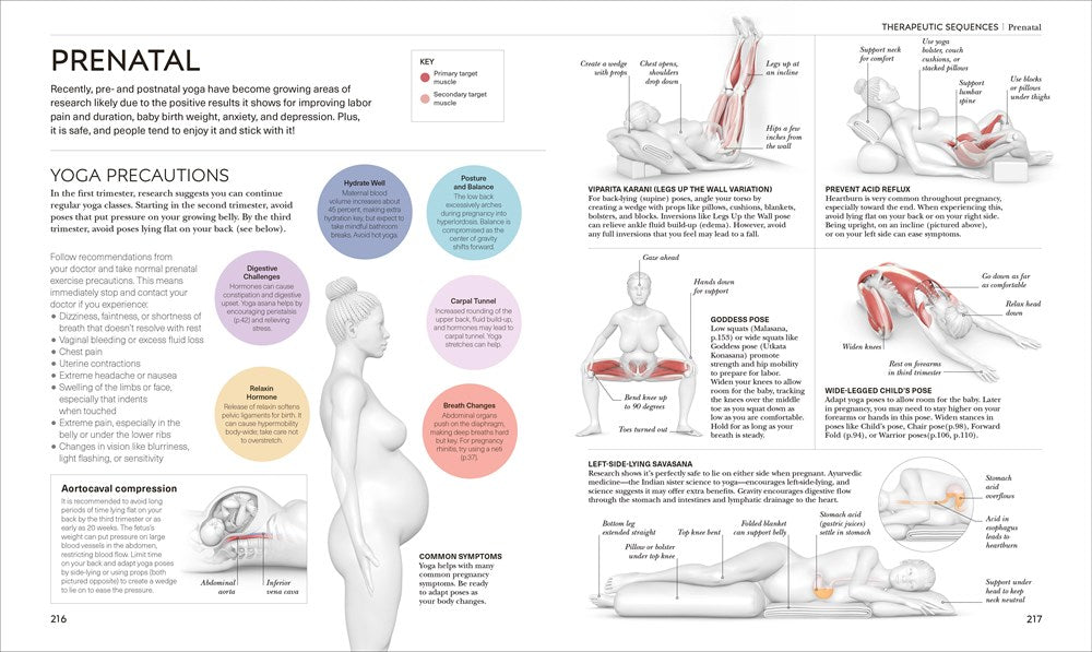Science of Yoga: Understand the Anatomy and Physiology to Perfect Your Practice (The Science of Fitness)