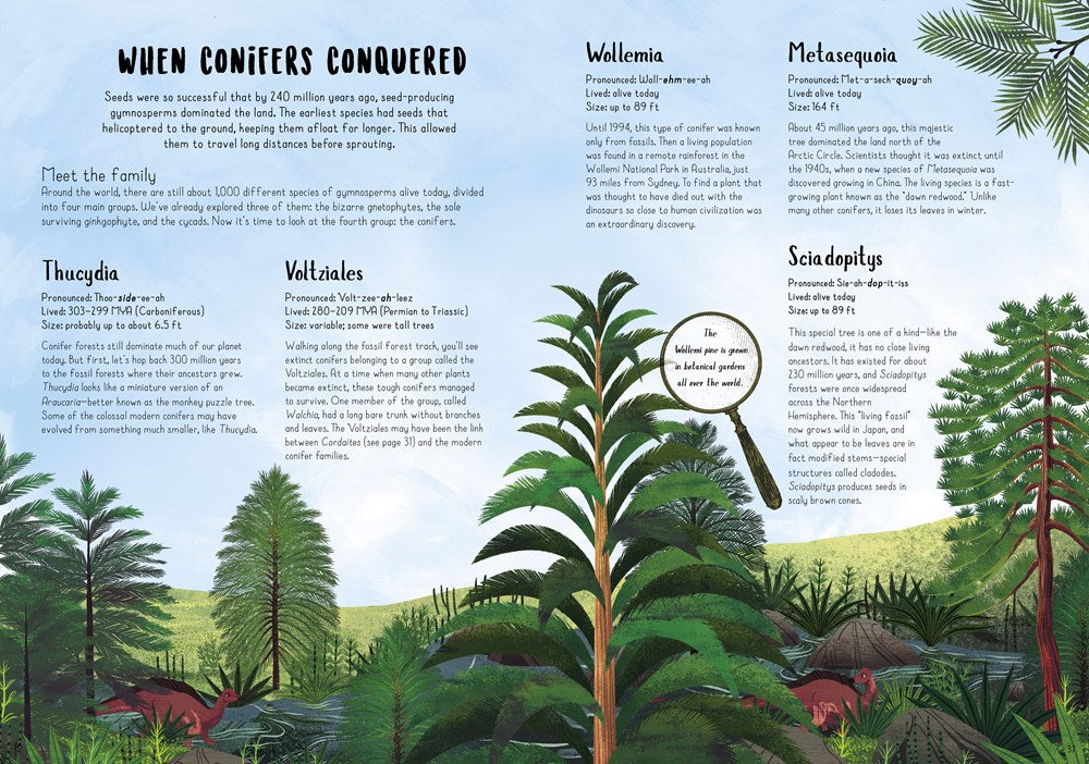 When Plants Took Over the Planet