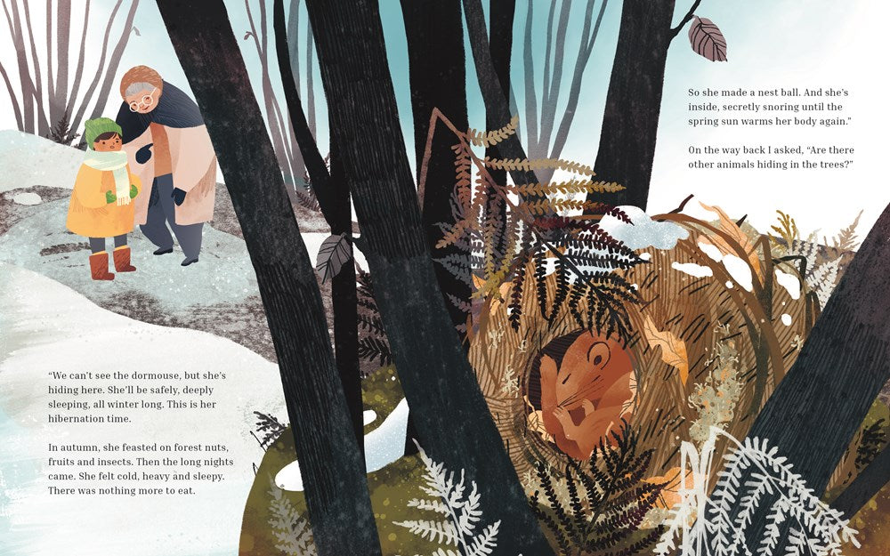Winter Sleep: A Hibernation Story (Seasons in the wild)