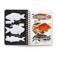 Judgy Fish Sticker Book (A Brass Monkey Sticker Book)