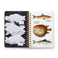 Judgy Fish Sticker Book (A Brass Monkey Sticker Book)