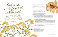 Pilgrim: 25 Ways God's Character Leads Us Onward