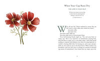 Lift Your Eyes: Daily Invitations to Behold Christ in Motherhood