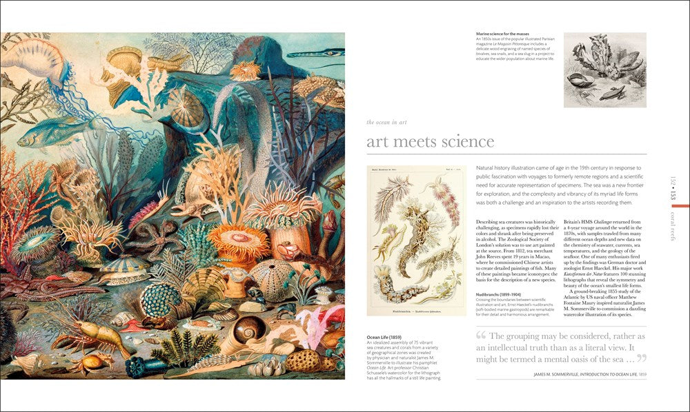 Oceanology: The Secrets of the Sea Revealed (DK Secret World Encyclopedias)