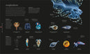 Oceanology: The Secrets of the Sea Revealed (DK Secret World Encyclopedias)