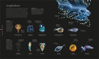 Oceanology: The Secrets of the Sea Revealed (DK Secret World Encyclopedias)