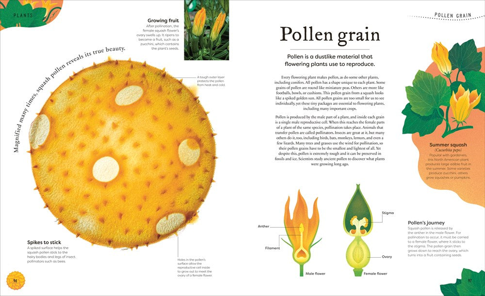 Nature's Treasures: Tales Of More Than 100 Extraordinary Objects From Nature