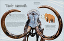 Dinosaurs and Other Prehistoric Life (DK Children's Anthologies)