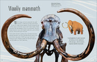 Dinosaurs and Other Prehistoric Life (DK Children's Anthologies)