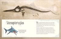 Dinosaurs and Other Prehistoric Life (DK Children's Anthologies)