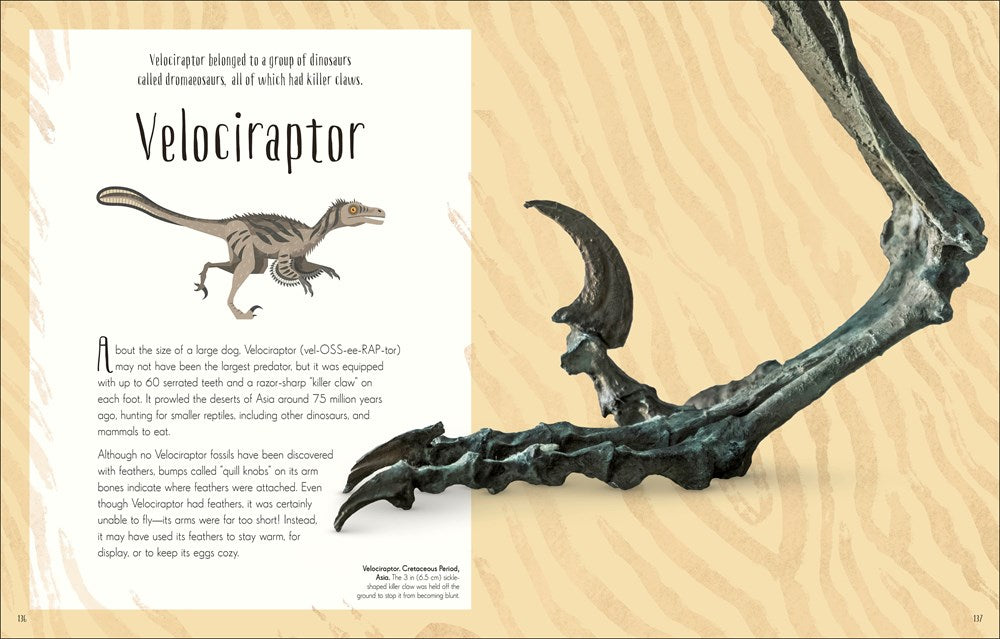 Dinosaurs and Other Prehistoric Life (DK Children's Anthologies)