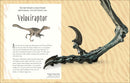 Dinosaurs and Other Prehistoric Life (DK Children's Anthologies)