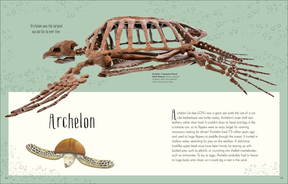Dinosaurs and Other Prehistoric Life (DK Children's Anthologies)