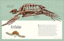 Dinosaurs and Other Prehistoric Life (DK Children's Anthologies)