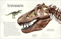 Dinosaurs and Other Prehistoric Life (DK Children's Anthologies)
