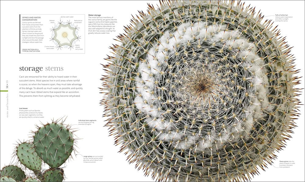 The Science of Plants: Inside Their Secret World (DK Secret World Encyclopedias)