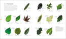 The Science of Plants: Inside Their Secret World (DK Secret World Encyclopedias)