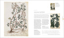 The Science of Plants: Inside Their Secret World (DK Secret World Encyclopedias)