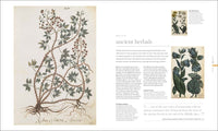 The Science of Plants: Inside Their Secret World (DK Secret World Encyclopedias)