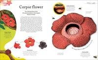 The Secret World of Plants: Tales of More Than 100 Remarkable Flowers, Trees, and Seeds (DK Treasures)