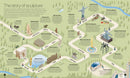 Timelines of Everything: From Woolly Mammoths to World Wars (DK Children's Timelines)