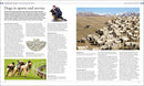 The Dog Encyclopedia (DK Pet Encyclopedias)