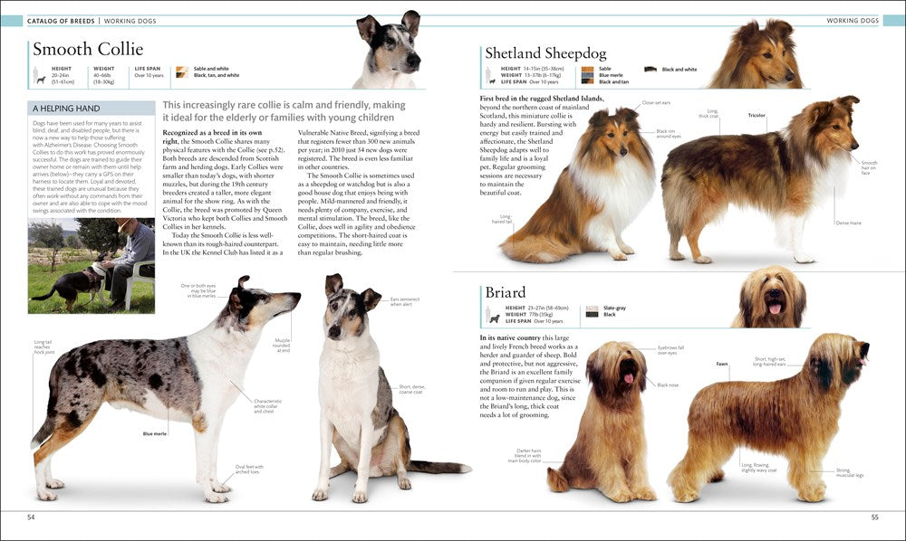 The Dog Encyclopedia (DK Pet Encyclopedias)