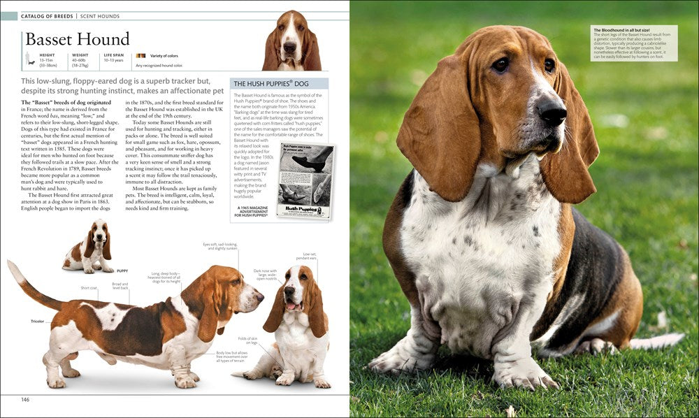The Dog Encyclopedia (DK Pet Encyclopedias)
