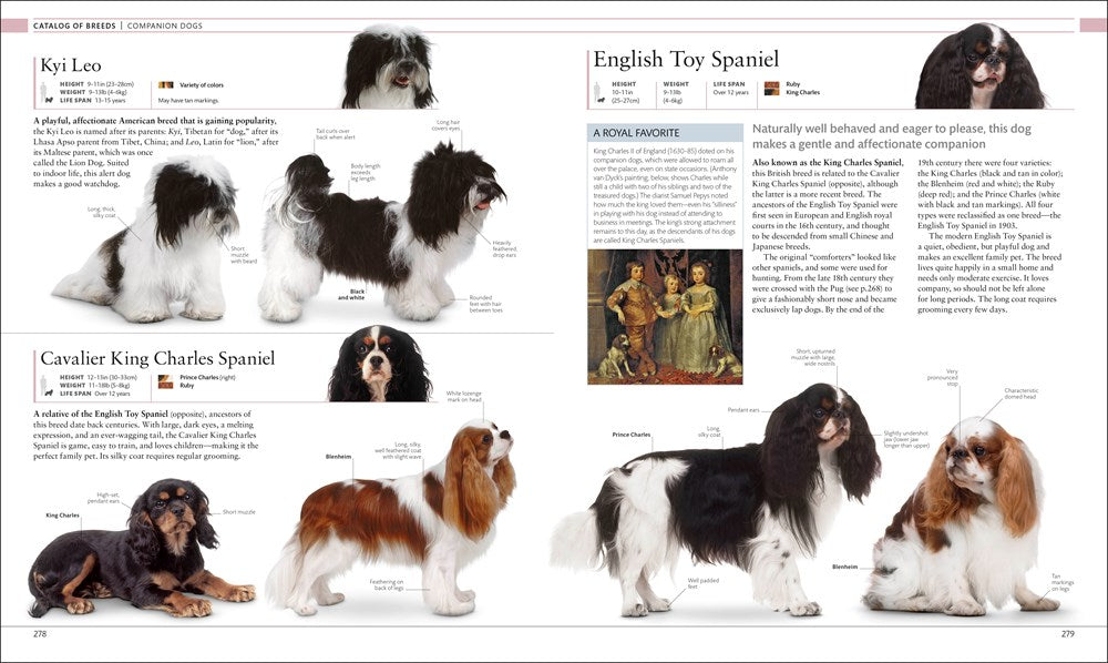 The Dog Encyclopedia (DK Pet Encyclopedias)