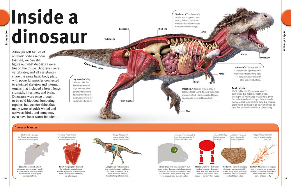 Our World in Pictures The Dinosaur Book