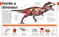 Our World in Pictures The Dinosaur Book