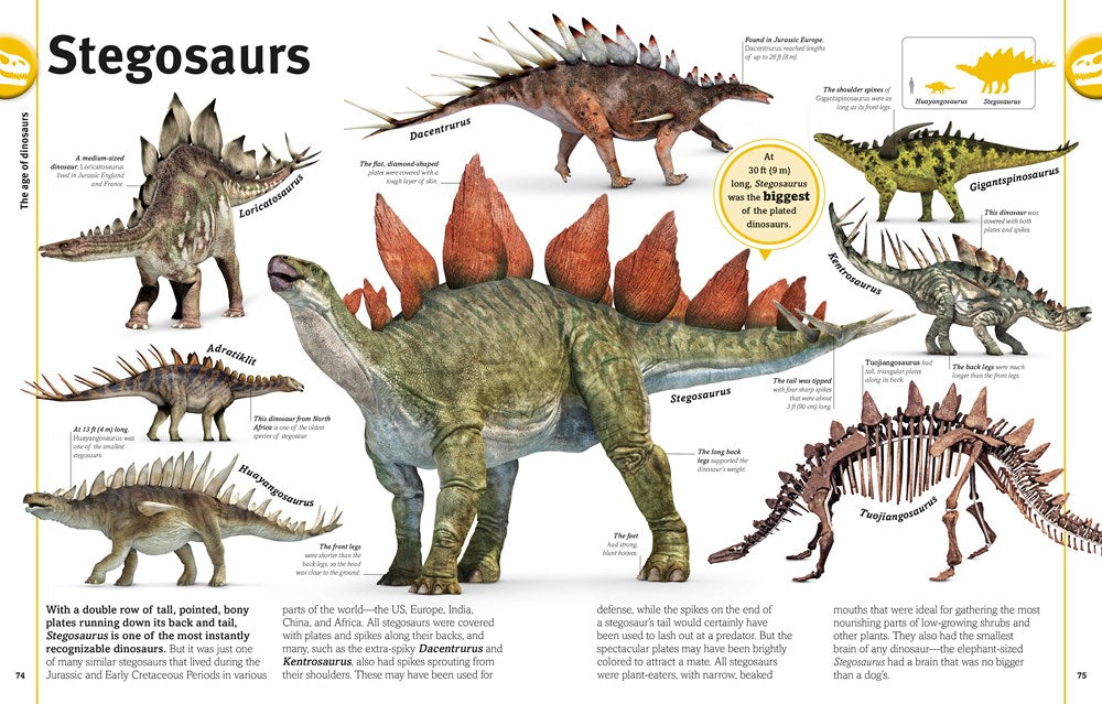 Our World in Pictures The Dinosaur Book