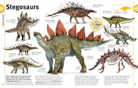 Our World in Pictures The Dinosaur Book