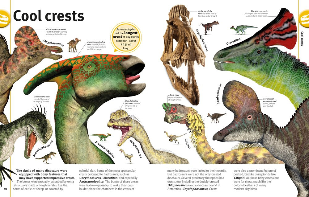Our World in Pictures The Dinosaur Book