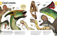 Our World in Pictures The Dinosaur Book