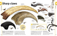 Our World in Pictures The Dinosaur Book