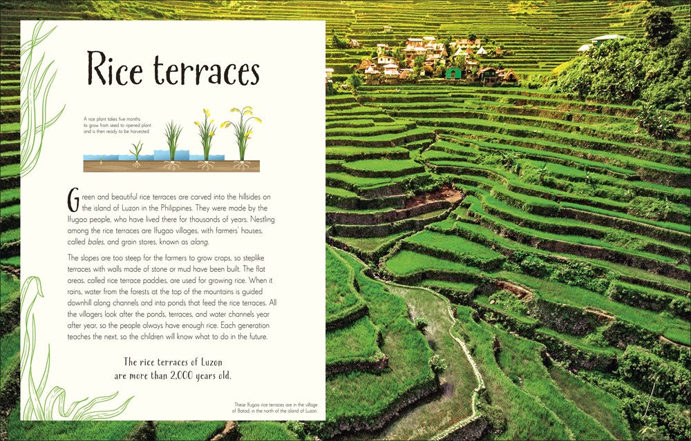 An Anthology of Our Extraordinary Earth (DK Children's Anthologies)
