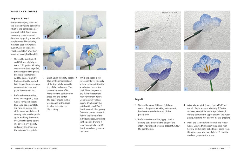 Drawing and Painting Beautiful Flowers