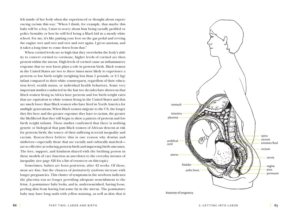 The Birth Partner, Sixth Revised Edition: A Complete Guide to Childbirth for Dads, Partners, Doulas, and Other Labor Companions