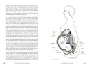 The Birth Partner, Sixth Revised Edition: A Complete Guide to Childbirth for Dads, Partners, Doulas, and Other Labor Companions