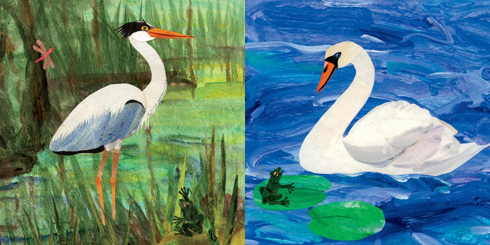 Indestructibles: Plip-Plop Pond!