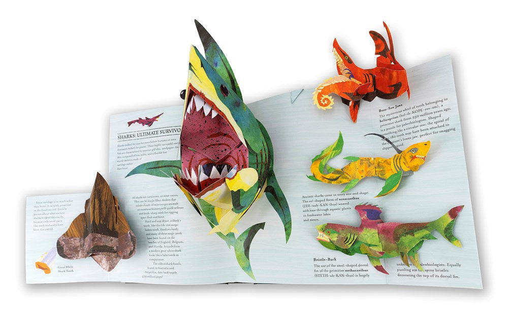 Encyclopedia Prehistorica: Sharks and Other Sea Monsters