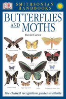 Butterflies & Moths